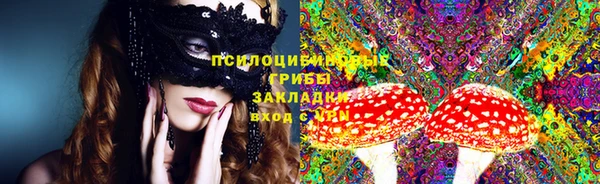 ПСИЛОЦИБИНОВЫЕ ГРИБЫ Абинск