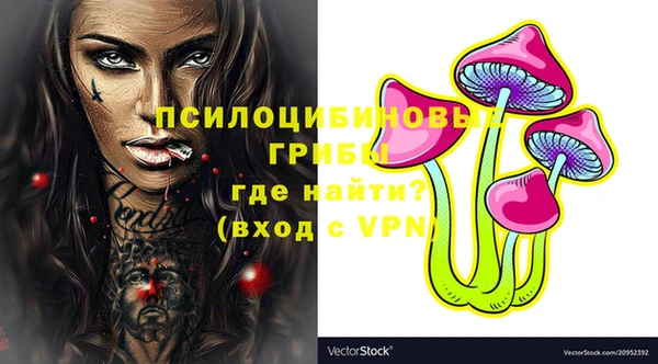 ГАЛЛЮЦИНОГЕННЫЕ ГРИБЫ Абдулино